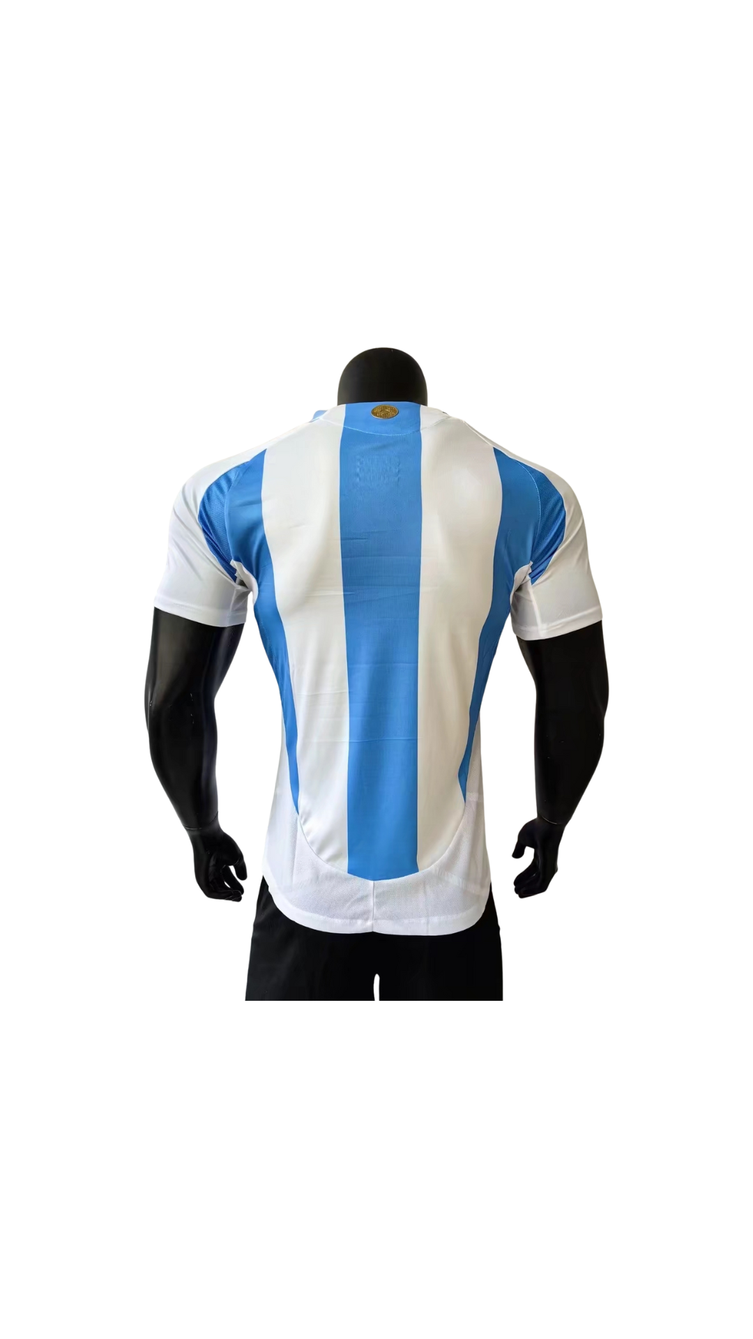 Jersey Argentina 2024 (Local)