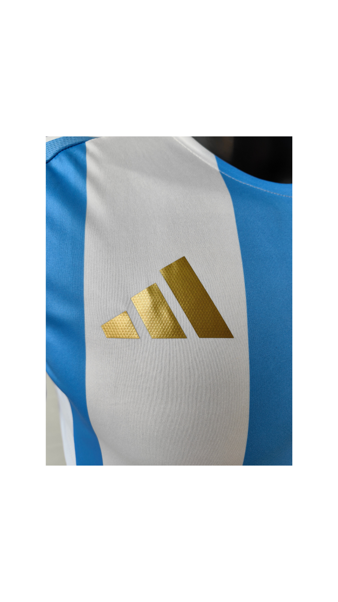 Jersey Argentina 2024 (Local)