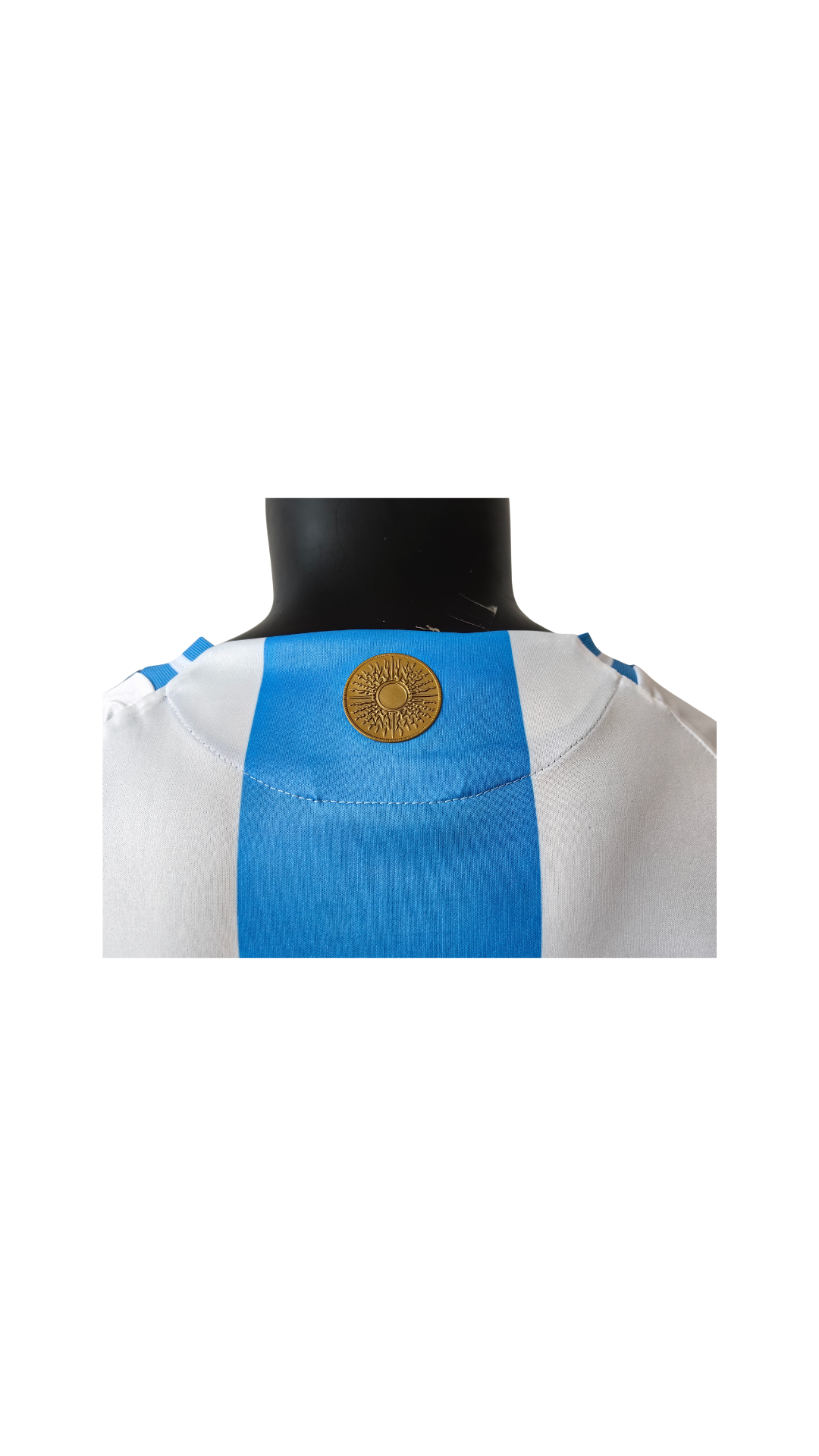 Jersey Argentina 2024 (Local)
